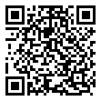QR-Code - Blue_White Business