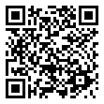 QR-Code - Logo PHONE GUARD
