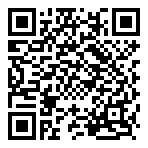 QR-Code - Professional Gaming 02